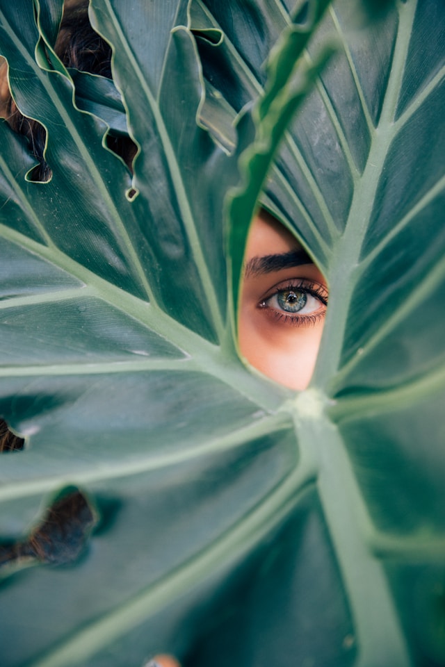 woman-peeking-over-green-leaf-plant-taken-at-daytime